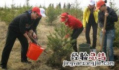 植树的好处是什么 植树的好处是什么阅读小学二年级
