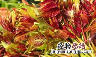 香椿怎么做好吃? 香椿怎么做好吃又简单