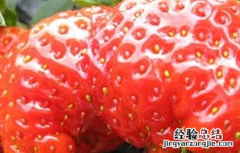 草莓异常果发生原因及防止措施 草莓畸形果的防治措施包括