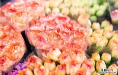 重庆花市有哪些地方 重庆花市有哪些地方卖