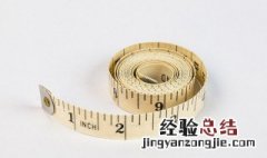 尺子的英语怎么说 尺子的英语怎么说三年级上册
