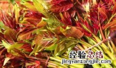 香椿炒鸡蛋怎么做窍门视频 香椿炒鸡蛋怎么做窍门