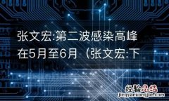 张文宏:下一波疫情或11月到来 张文宏:第二波感染高峰在5月至6月