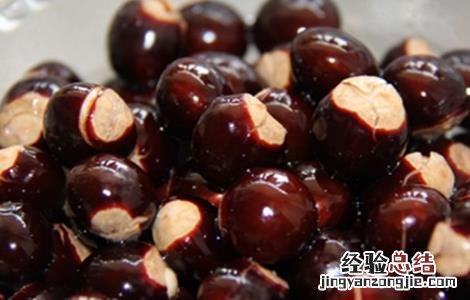 龙眼的种植和管理技术 龙眼种植技术与管理