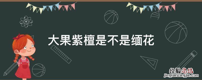 大果紫檀和缅花 大果紫檀是不是缅花