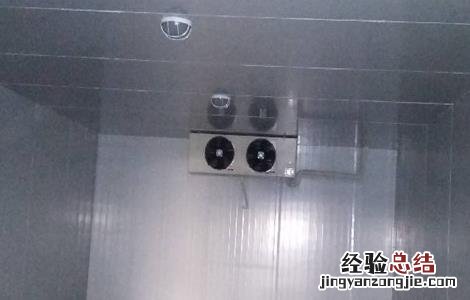 桃子的保鲜方法是什么 桃子的保鲜方法
