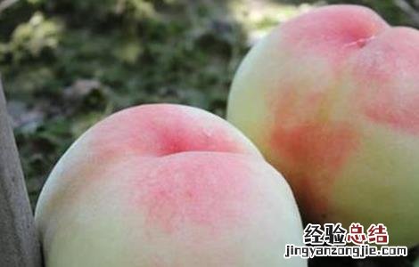 水蜜桃什么时候下市 水蜜桃什么时候成熟上市