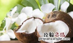 椰青肉的功效与作用 椰青肉的功效与作用禁忌