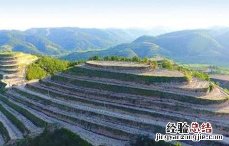 山地苹果园灌溉技术 苹果园灌溉系统