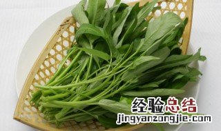 杨铁叶子能食用吗 杨铁叶子能当菜吃吗