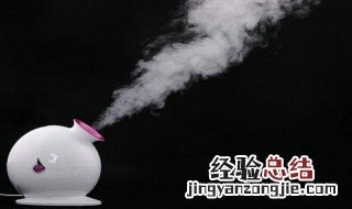 蒸脸器和雾化器一样吗 雾化机和蒸脸器的区别