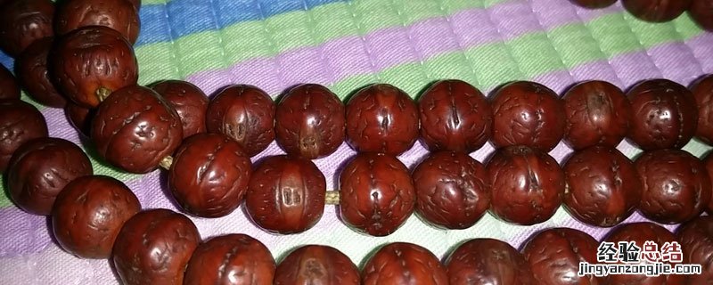 木瓜龙眼菩提和龙眼菩提的区别 木瓜龙眼菩提和龙眼菩提的区别图片