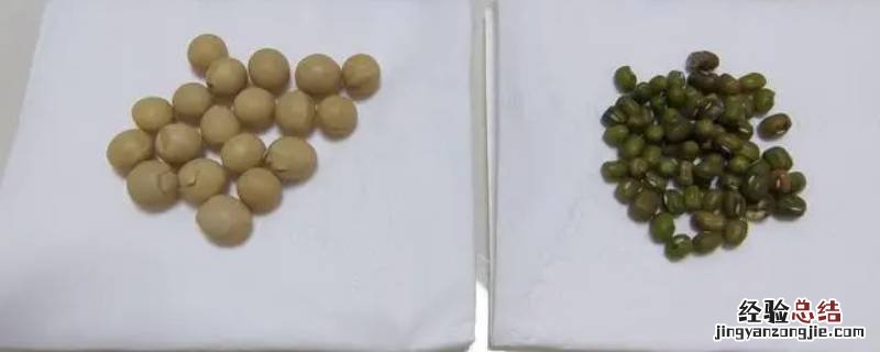 绿豆和黄豆的区别有什么关系 绿豆和黄豆有什么区别