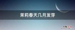 茉莉发芽季节 茉莉春天几月发芽