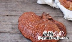 灵芝不可以和什么食物一起吃会中毒 灵芝不可以和什么食物一起吃