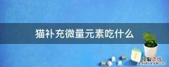 猫吃什么可以补充微量元素 猫补充微量元素吃什么
