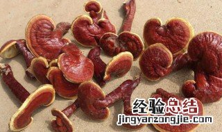 灵芝哺乳期间可以吃吗 灵芝哺乳期间可以吃吗有毒吗