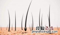 头发没营养了怎么办 头发没有营养怎么办