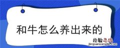 和牛是怎么养出来的 和牛怎么养出来的