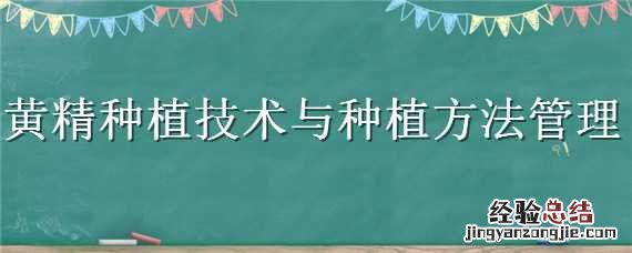 黄精种植技术与种植方法管理App 黄精种植技术与种植方法管理