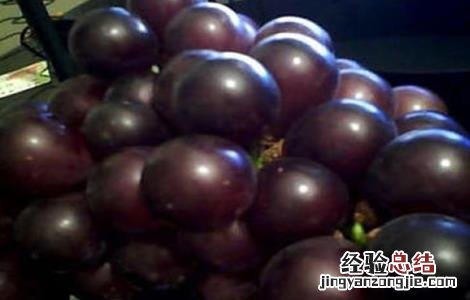 滕稔葡萄图片和种植 滕捻葡萄种植技术