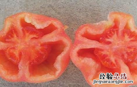 番茄空洞果的原因与防治 番茄空洞果是怎么回事