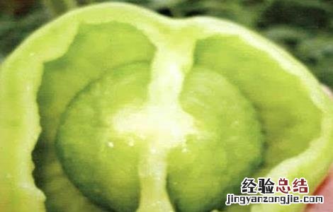 番茄空洞果的原因与防治 番茄空洞果是怎么回事