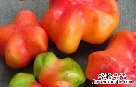 番茄空洞果的原因与防治 番茄空洞果是怎么回事