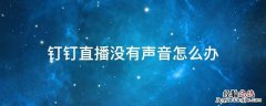 钉钉直播没有声音怎么办苹果 钉钉直播没有声音怎么办