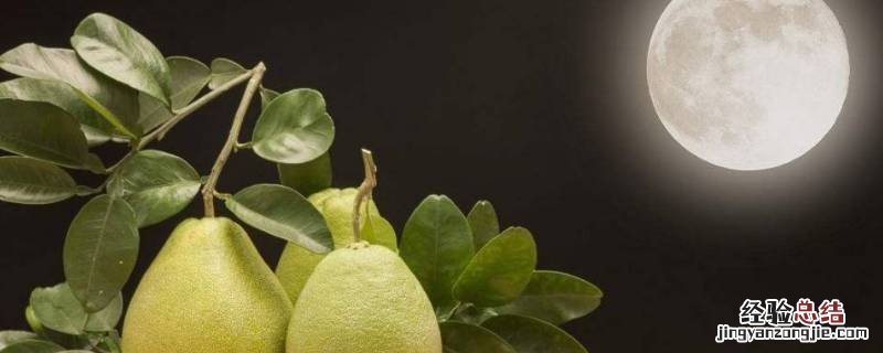 中秋节吃柚子的寓意是什么(2 中秋节吃柚子的寓意是什么