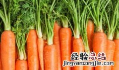 豆腐和胡萝卜能一起吃吗 豆腐和胡萝卜能一起吃吗会中毒吗