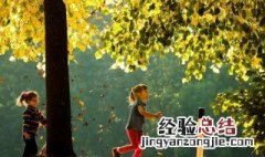 看秋天美景好心情的句子 秋天风景心情的句子