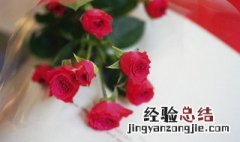 扦插玫瑰几天生根发芽 扦插玫瑰几天生根