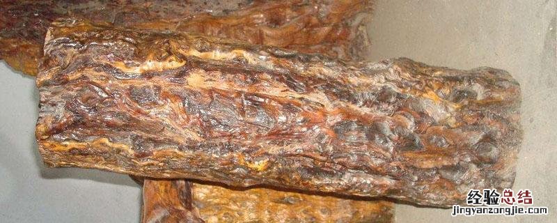 枣树木的用途 枣树木有什么用处