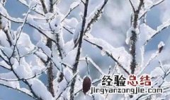 下雪句子表达心情短语图片 下雪句子表达心情短语