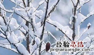 下雪句子表达心情短语图片 下雪句子表达心情短语