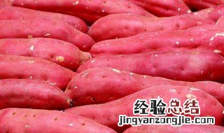 什么季节的红薯不能吃 什么季节的红薯不能吃了