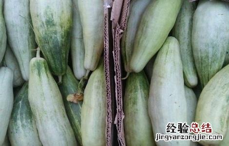 羊角蜜的种植时间与方法 羊角蜜怎么种植方法如下