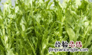 苦菊什么季节可以吃到 苦菊什么季节可以吃到冬天