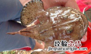 安康鱼好吃吗 安康鱼好吃吗怎么做