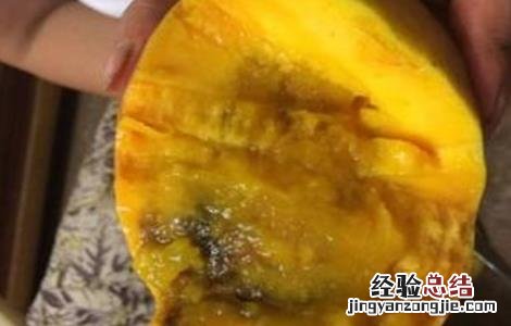 芒果烂果原因及防治方法 芒果烂果原因及防治方法图片