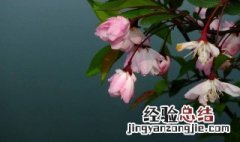 3月11号是什么季节 3月11日是什么节气