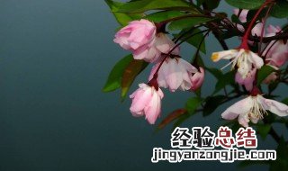 3月11号是什么季节 3月11日是什么节气