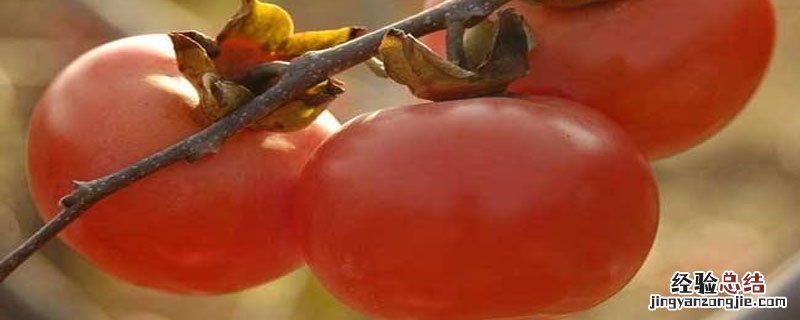 柿子捂霜需要几天 柿饼子什么时候捂霜