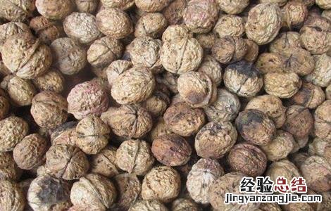 核桃的繁殖方法 核桃繁殖方法