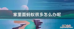 家里面有很多蚂蚁怎么办 家里面蚂蚁很多怎么办呢
