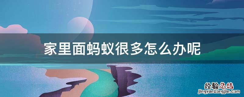 家里面有很多蚂蚁怎么办 家里面蚂蚁很多怎么办呢