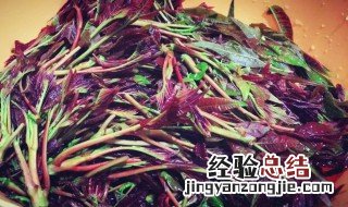 香椿怎么腌制最好吃 腌过的香椿怎么做好吃