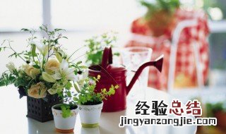 家里养的植物多长时间浇水好 家里养的植物多长时间浇水