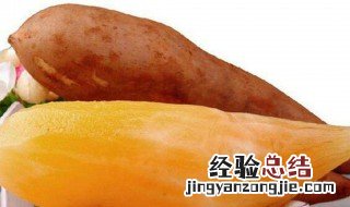 吃雪莲果的禁忌和好处 吃雪莲果的禁忌